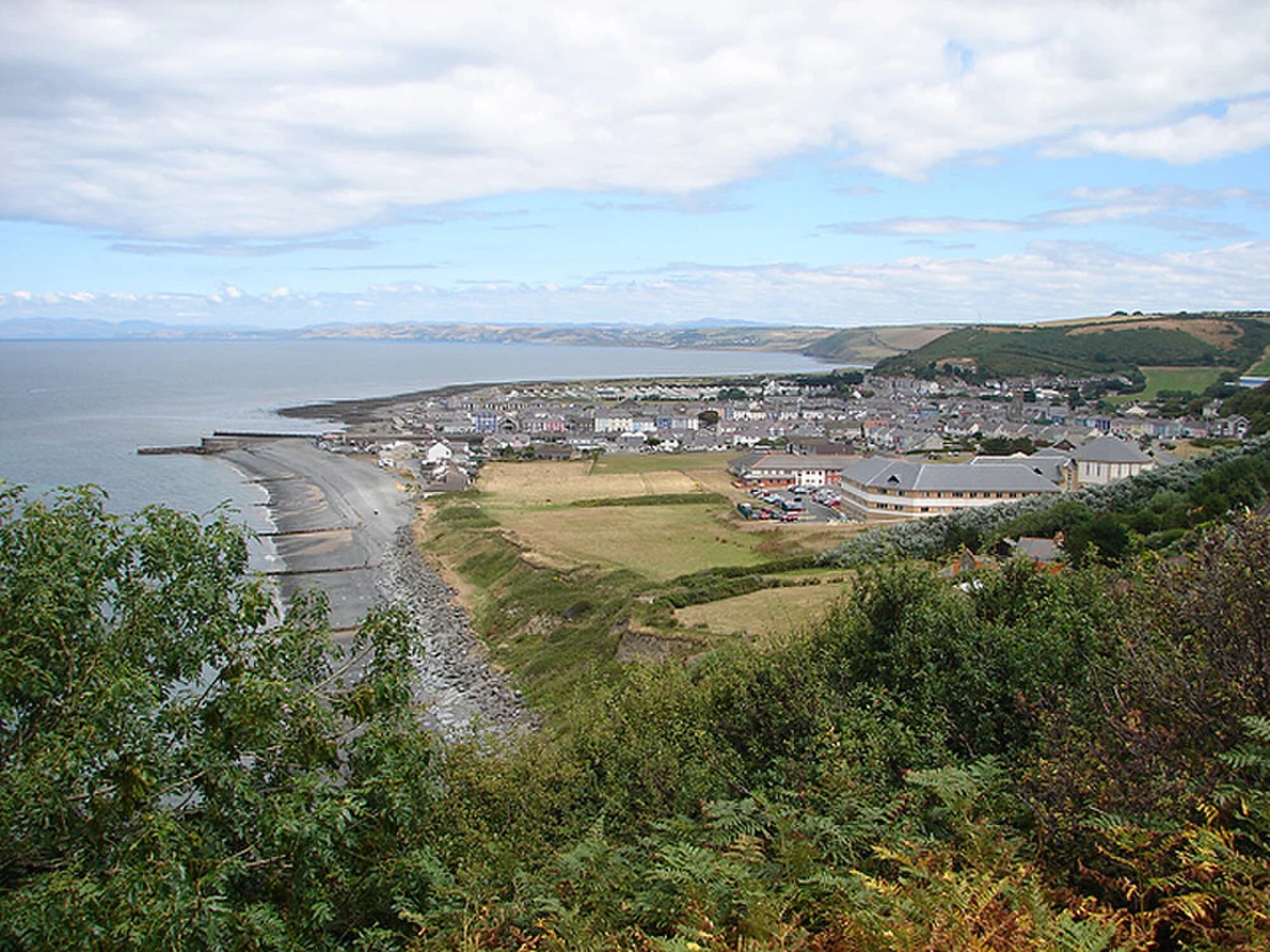 Vets in Aberaeron