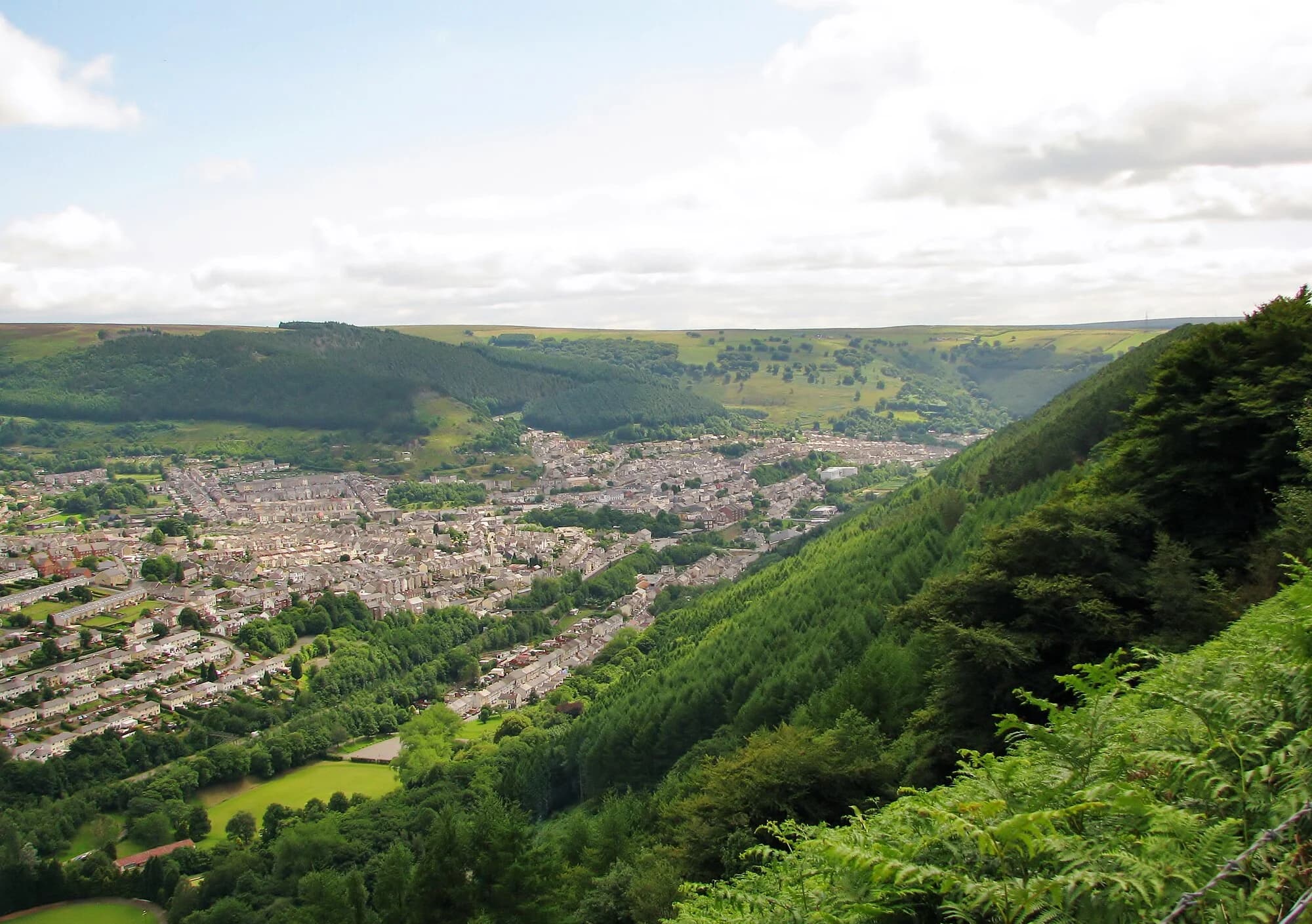 Vets in Abertillery