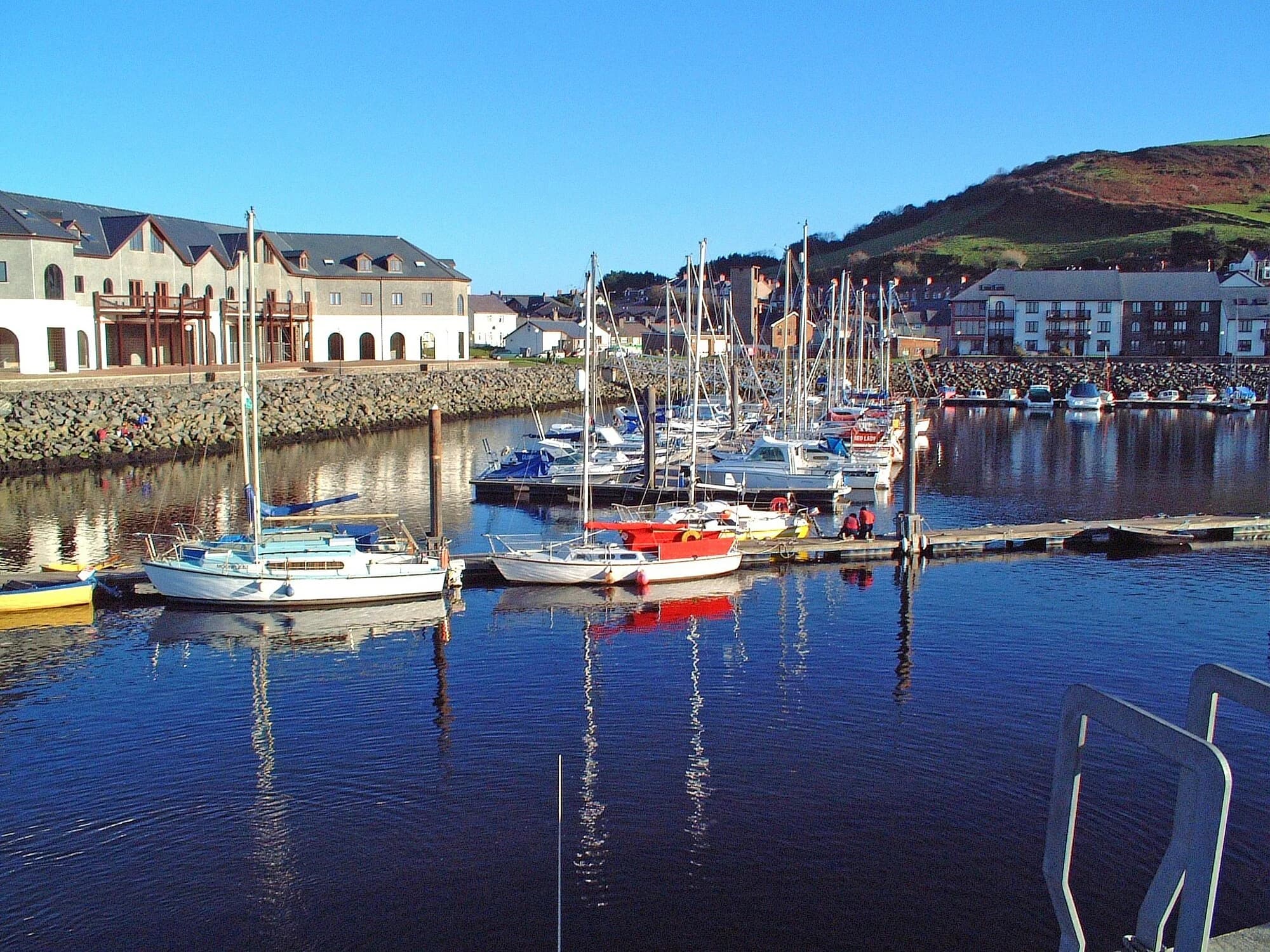 Vets in Aberystwyth