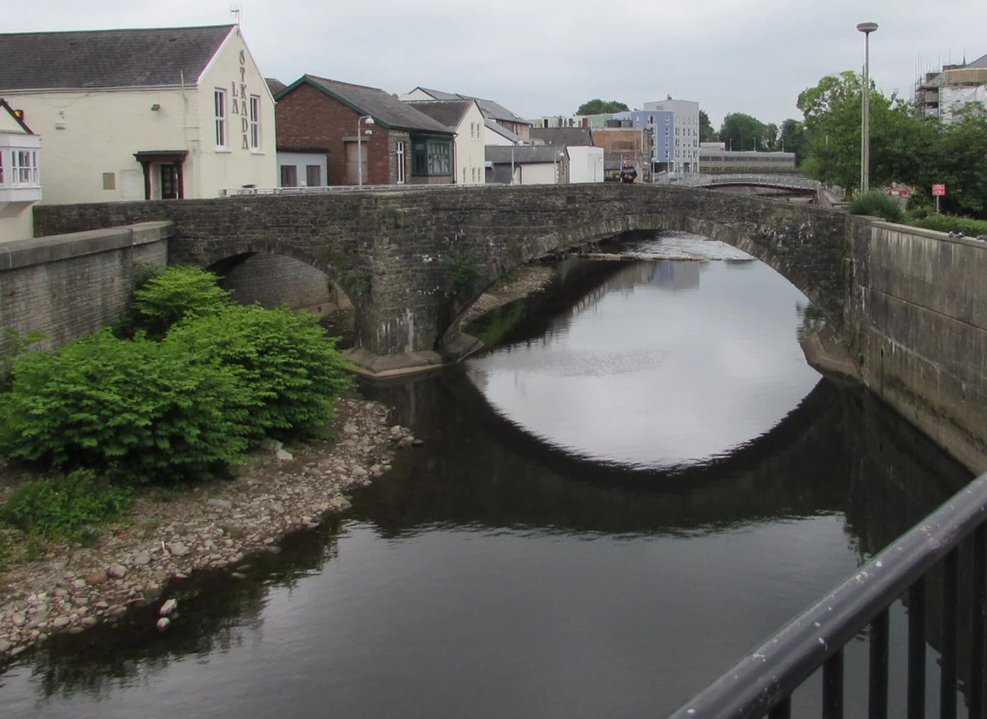 Vets in Bridgend