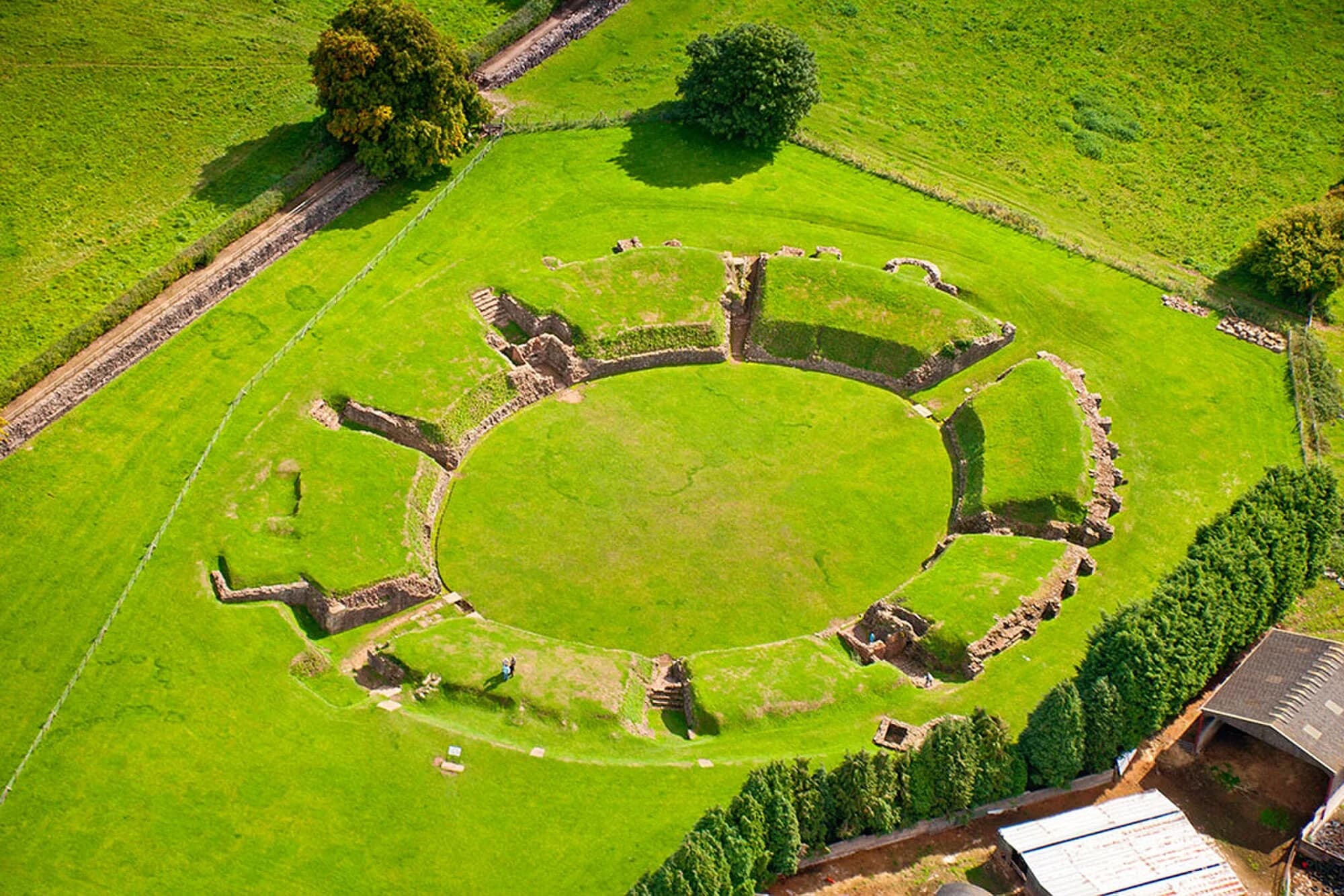 Vets in Caerleon
