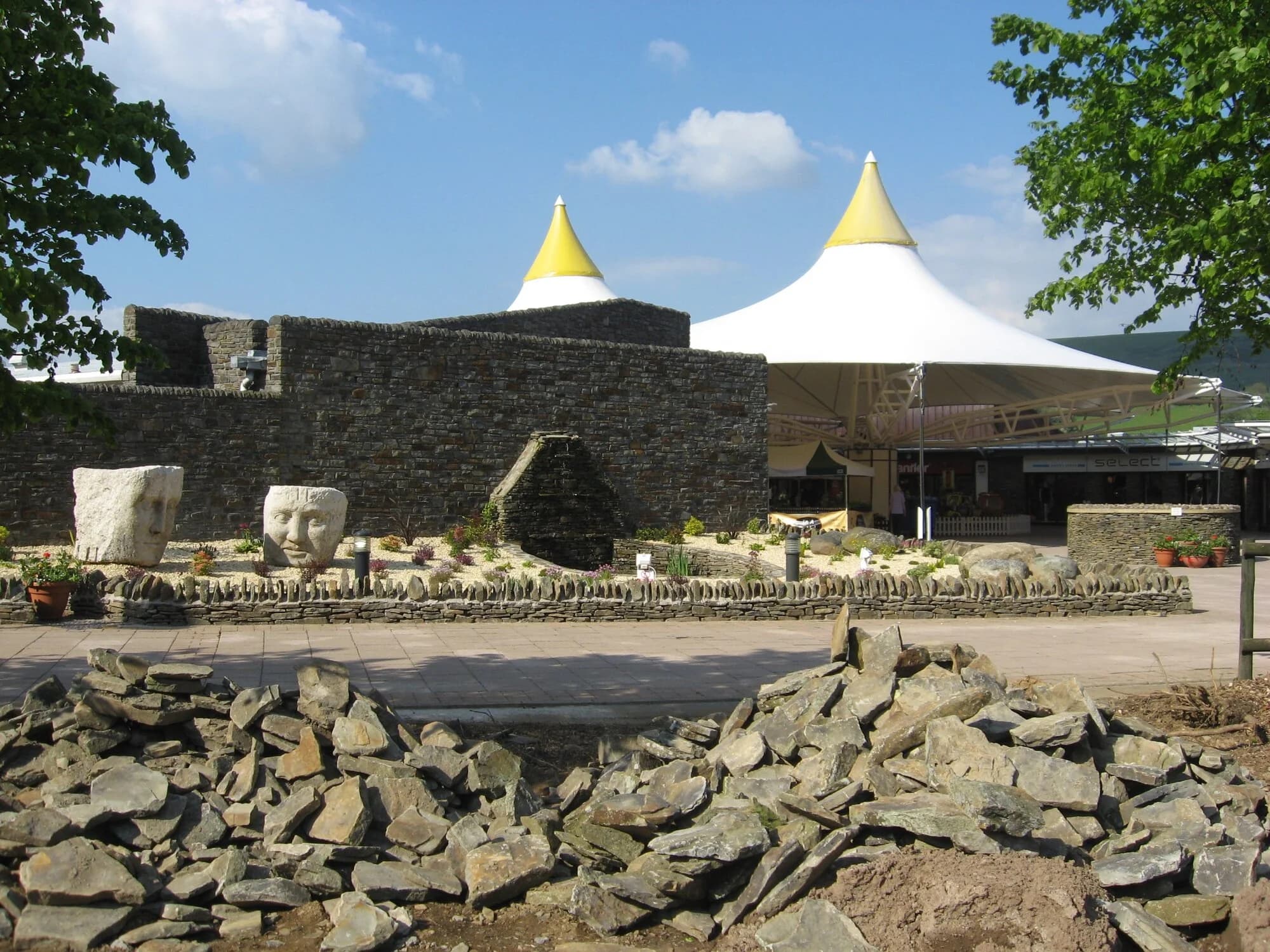 Vets in Ebbw Vale